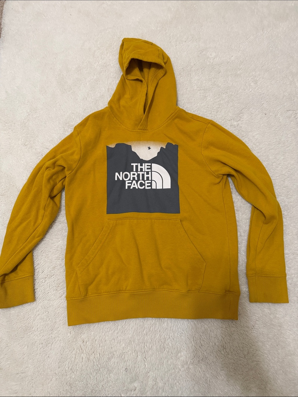 The North Face Boys Medium Hoodie